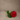 Ge kärlekens blomma och låt din kärlekshälsning tala högt med vår vackra röda ros. Oavsett tillfälle kommer den att sprida glädje och skapa minnen som varar en livstid.