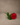 Ge kärlekens blomma och låt din kärlekshälsning tala högt med vår vackra röda ros. Oavsett tillfälle kommer den att sprida glädje och skapa minnen som varar en livstid.